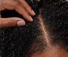 Healthy scalp and textured hair for HBH Professional hair education